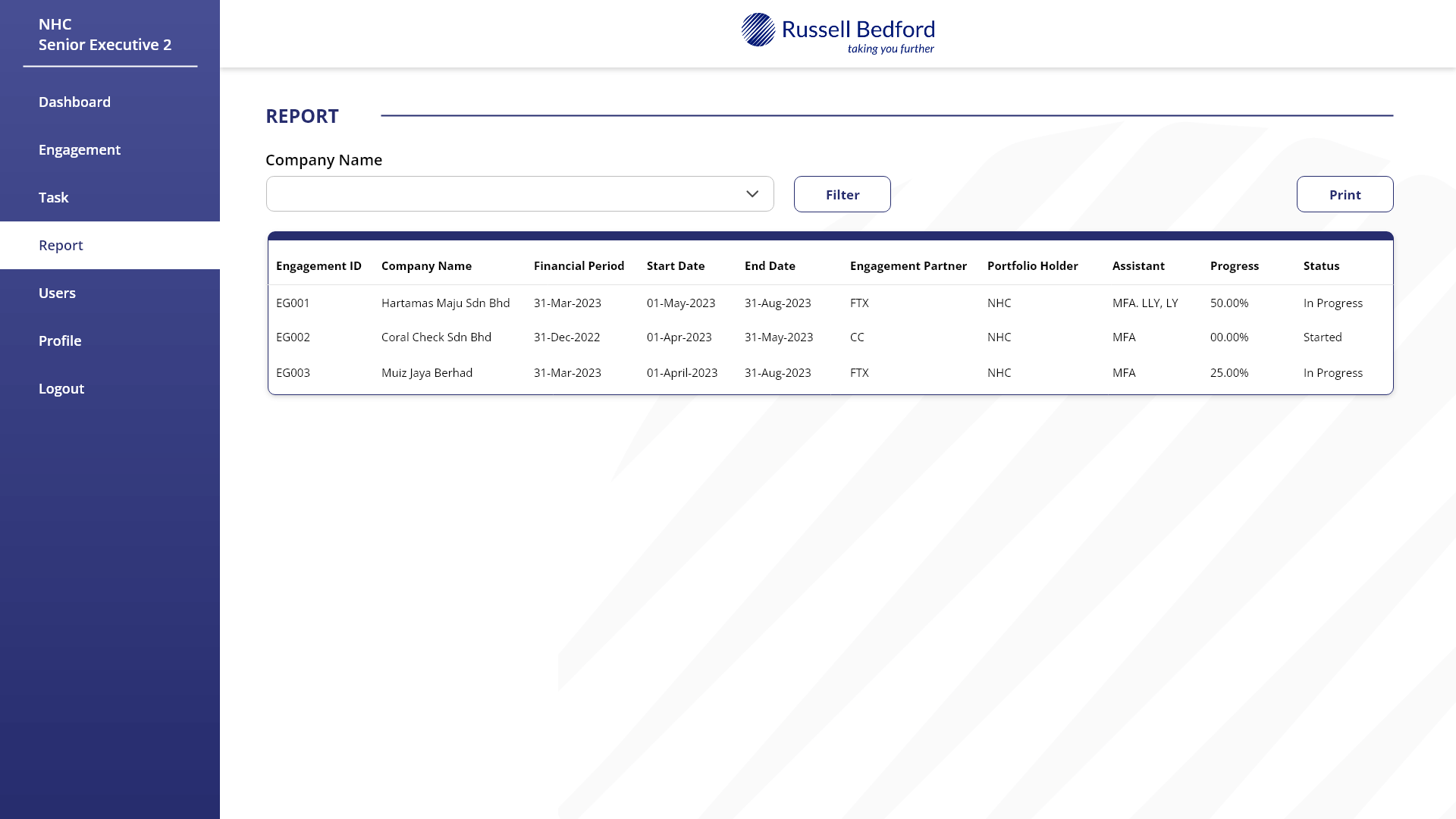 13. Report Page - Leader (Portfolio Holder)